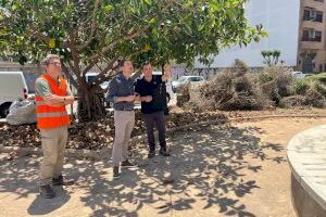 Catarroja remodela paisatgísticament la plaça Blasco Ibáñez amb urbanisme sostenible