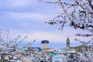 La sequía y el calor extremo marcan la primavera en la Comunitat Valenciana, la más cálida y seca desde 1950