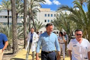 Elche cede una parcela al Hospital General para crear un huerto terapéutico