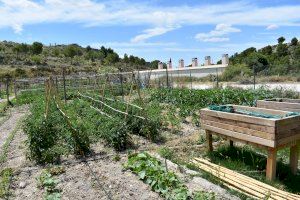 Petrer ofrece 31 parcelas en la Finca Ferrusa para la puesta en marcha de los huertos populares