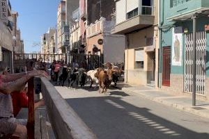 Menos burocracia y digitalización para el traslado dels bous al carrer: Agricultura plantea cambios