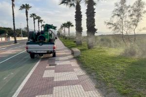 Castelló intensifica la lluita contra els mosquits amb tractaments en tota la franja costanera del Grau i de cara a la nit de Sant Joan