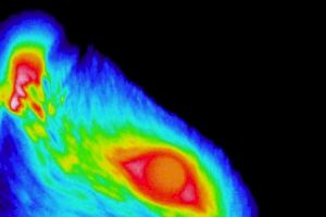 Un estudi aconsegueix la primera representació anatòmica i funcional de la superfície ocular en el sistema nerviós central