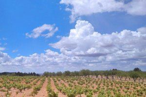 La Comunitat Valenciana espera nuevas lluvias este martes: estas son las zonas con posibilidad de chubascos y algún amago tormentoso