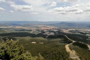 La Asociación Naturalista de Ayora y La Valle denuncia ante Fiscalía 5 macroproyectos fotovoltaicos en el Valle.