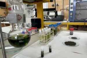 Investigadors de la UA lideren un projecte per a obtenir biomaterials de l’alga asiàtica