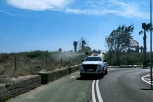 Almassora intensifica les fumigacions per a previndre la plaga de mosquits