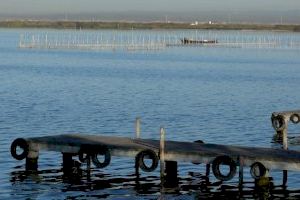 Mazón acudirà als tribunals per a defendre l'aigua que necessita l'Albufera