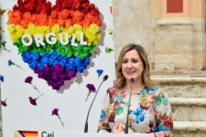 Catalá als partits polítics municipals: “No m'aguanten vostés la mirada per a dir-me que soc homòfoba”