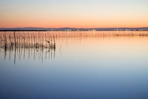 Pradas assegura que el Govern ha incomplit l'aportació d'aigua al llac de l'Albufera i anirà al contenciós-administratiu