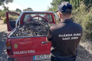 El Ayuntamiento de Sant Jordi optará a las ayudas de Diputación para reforzar la seguridad en el campo