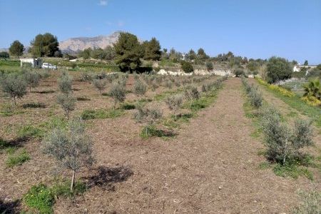 Xàbia inicia el projecte “Banc de Terres” per a recuperar els camps de cultiu