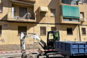 Elche comienza la plantación de 60 árboles en la calle Ginés García Esquitino