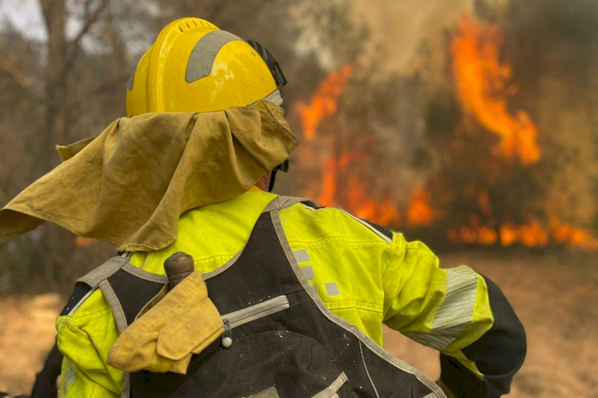 STOP AL FOC | Un descuido puede ser fatal: la Generalitat pide ...