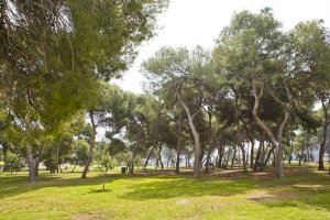 El Satsang Ioga Fest arriba al litoral de Castelló este estiu