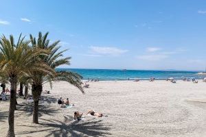 Protege tu coche del calor en valenciano: el curioso pasatiempos que activa este verano una población de Alicante