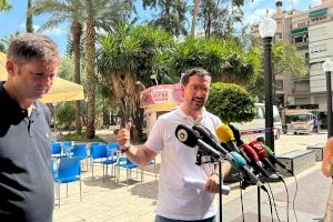 Elche evaluará el estado de las palmeras en plazas y espacios públicos