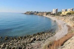 El Instituto de Ecología Litoral certifica el óptimo estado de las aguas de la playa Amerador de El Campello