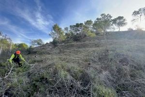 Benicàssim encara el verano intensificando las acciones de prevención contra incendios