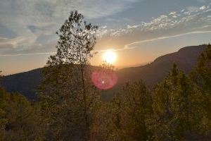 40ºC: Eleven l'alerta per la calor a nivell taronja este dijous en la Comunitat Valenciana