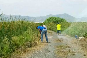 El ayuntamiento de Almenara contrata a 22 personas durante dos meses para las memorias del paro agrario