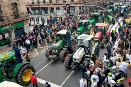 Nova protesta dels agricultors valencians per a exigir mesures urgents contra la sequera, plagues, robatoris, fauna salvatge i importacions