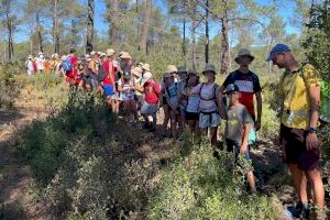 Medio centenar de niños y jóvenes de Benidorm apuran los últimos días del campamento de verano organizado por Juventud