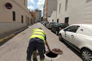 Nules intensifica los tratamientos contra las plagas por el aumento de las temperaturas