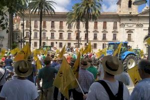 Cientos de agricultores y tractores de AVA-ASAJA y CCPV-COAG reclaman en Valencia medidas urgentes al Gobierno