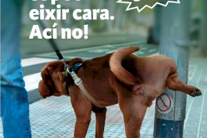 Vila-real refuerza la concienciación ante los excrementos y orines de perros en la vía pública con una campaña que advierte de las sanciones