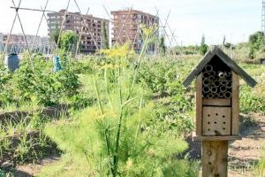 La Generalitat emet l'informe d'Avaluació Ambiental amb el qual dona llum verda al PAI de Benimaclet