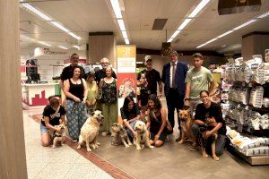 Gran recogida virtual de alimentos para mascotas: hasta el 21 de julio en todos los centros de El Corte Inglés en la Comunitat Valenciana