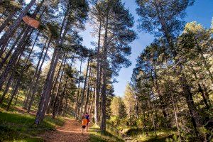 La Diputación de Castellón protege el patrimonio natural con la mejora de senderos municipales