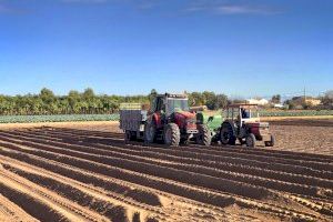 Alboraya rompe a la baja la barrera de las mil personas desempleadas y desploma la tasa de paro (7,83%) a niveles no vistos desde 2006