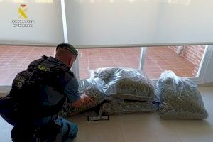 Un coche repleto de bolsas en Orihuela no pasa desapercibido para la Guardia Civil: iba cargado con 27 kilos de marihuana