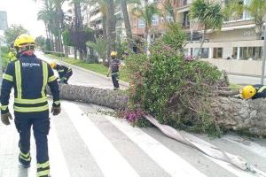 Màxima atenció per la tornada d'esclafits secs a la Comunitat Valenciana a partir d'este dijous: precaucions que has de prendre