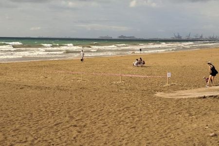 Alboraya reclama una acción conjunta a la Generalitat Valenciana y la Confederación Hidrográfica del Júcar por la contaminación de playas