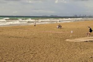 Alboraya reclama una acción conjunta a la Generalitat Valenciana y la Confederación Hidrográfica del Júcar por la contaminación de playas