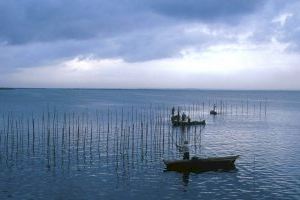 El Ple aprova una moció de condemna de l'abocament d'hidrocarburs a les platges de l'Albufera i insta a prendre mesures legals