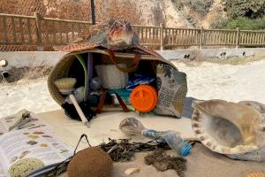 Medio ambiente lleva a cabo una campaña de educación ambiental en las playas de Orihuela