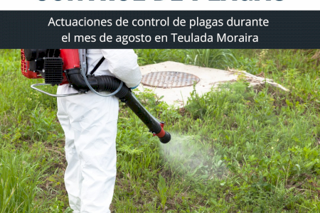 Teulada Moraira realiza diversas actuaciones para el control de plagas durante el mes de agosto