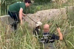 VÍDEO | Deshidratado, desnutrido y desorientado: salvan la vida de un perro tras varios días atrapado en una acequia de Valencia