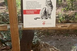 Vilafamés creix en el control de les colònies felines