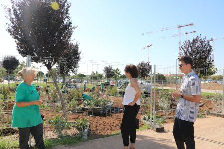 Quart de Poblet diseña un jardín experimental y sensitivo con más de 50 especies en el PAI Molí d'Animeta