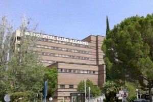 Un niño de 10 años sufre heridas en la cara y manos tras el ataque de un perro en Navarrés (Valencia)