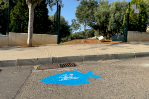 Animales marinos invaden las alcantarillas de Onda para pedir ayuda