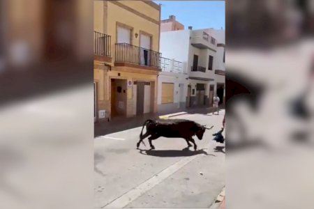 VÍDEO | Esglai amb una rebolcada en els 'bous al carrer' de Puçol