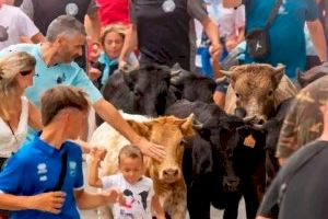 Compromís denuncia el acceso de menores a las novillades organizadas por Cultura