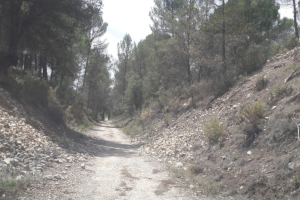 L'Ajuntament d'Alcoi durà a terme tasques de manteniment i neteja del tram de Via Verda entre El Estepar i La Sarga