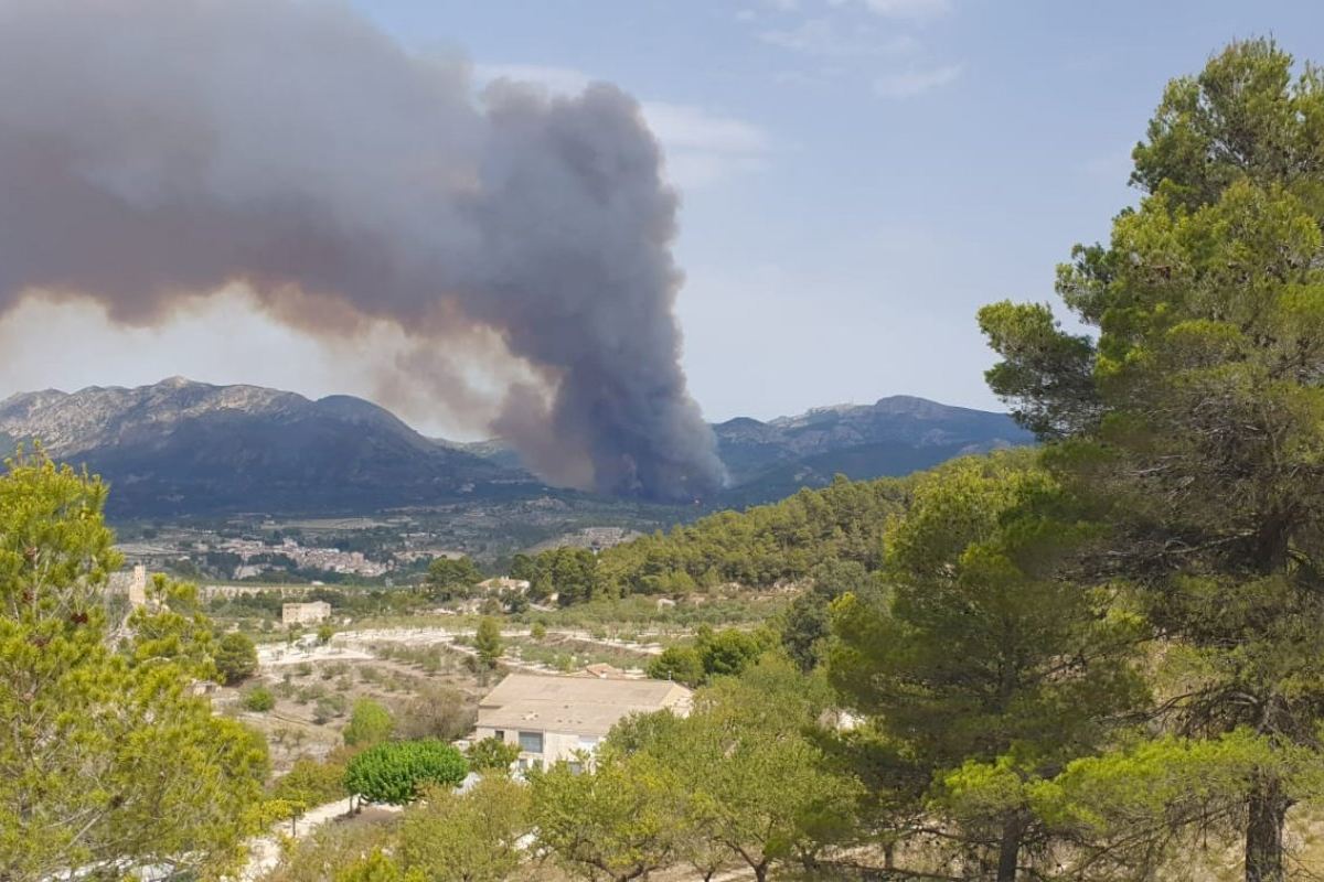 VIDEO | Solicitan ayuda a la UME para frenar el incendio forestal de Benasau